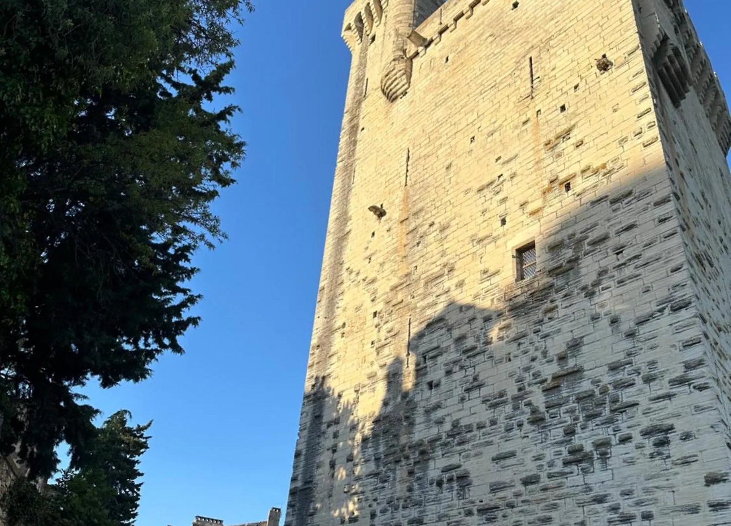 Charmante Petite Maison Avec Vue Panoramique, En Centre Historique, Proche D'Avignon, Ancienne, Renovee, Climatisee, Terrasse, Parking Public Gratuit Villeneuve-lès-Avignon